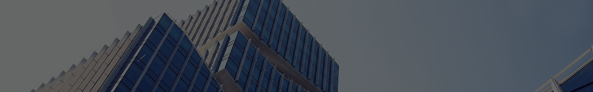 가흥 Xuanyi 국제 무역 유한 회사