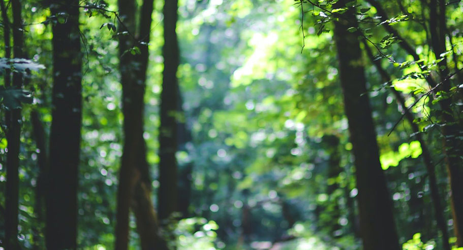 가흥 Xuanyi 국제 무역 유한 회사