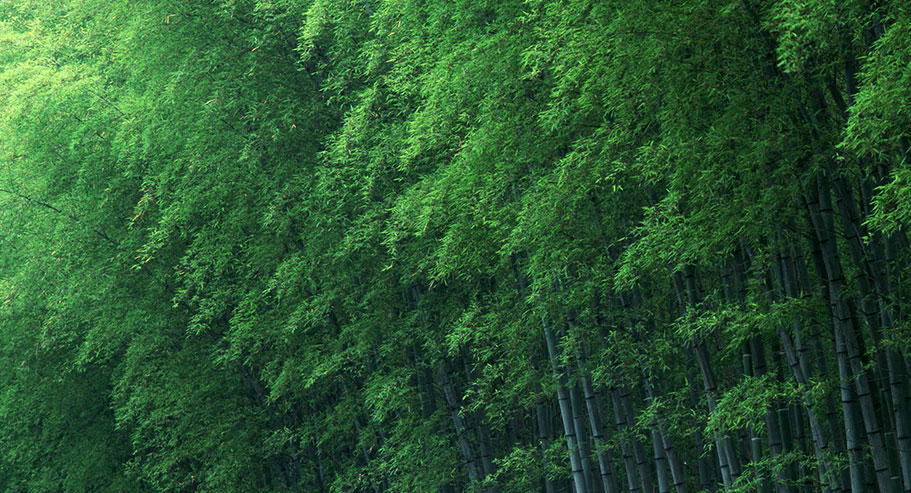 가흥 Xuanyi 국제 무역 유한 회사